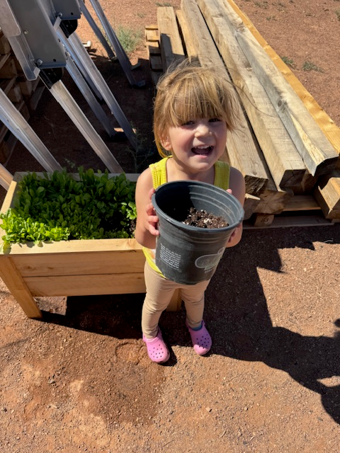 Localizing Our Food System: The Harvesting Change Way