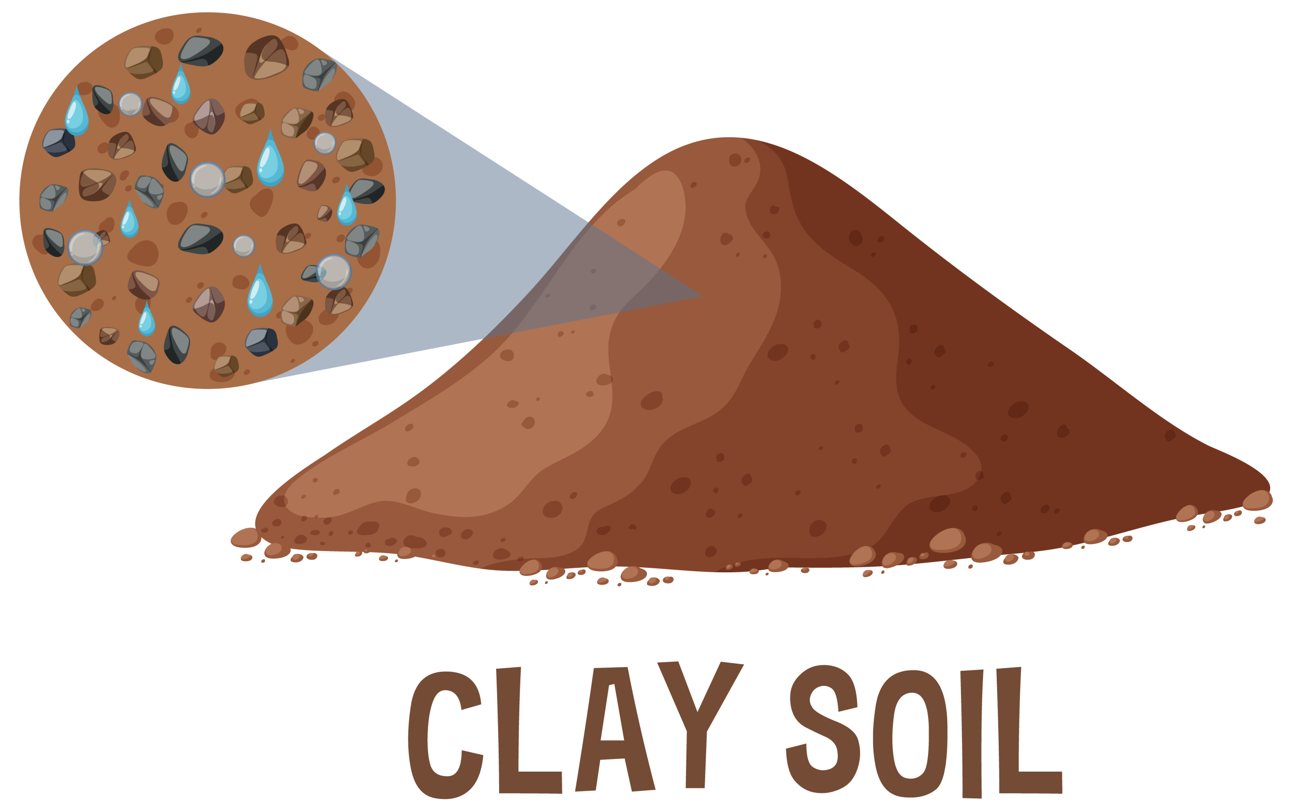 How to Thrive While Gardening in Clay Soil: Tips for Success
